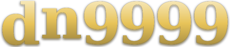 dn9999 logo